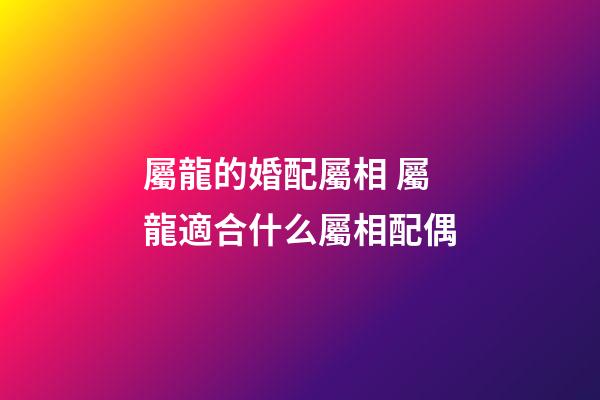 屬龍的婚配屬相 屬龍適合什么屬相配偶-第1張-觀點(diǎn)-玄機(jī)派